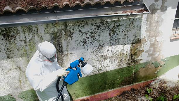 Top rated local Attic Mold Removal specialists in Clermont, KY